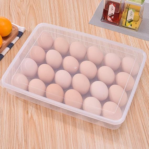 Kitchenwell 24 Grid Egg Storage Box Egg Refrigerator Storage