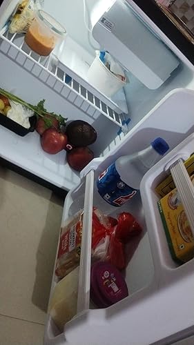 Blue Star Bluestar 45 Ltr Mini Refrigerator with Freezer