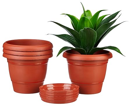 Amazon Brand - Solimo Round Pots for Plants with Bottom Tray | Indoor and Outdoor Flower Pot for Home/Office/Table/Garde