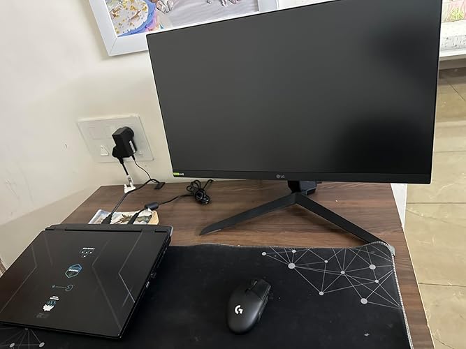 LG 24GS65F Smartchoice UltraGear Full HD Gaming Monitor